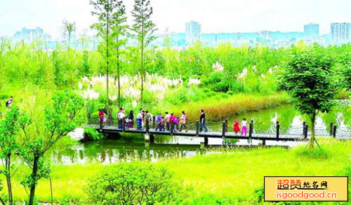 席吴二洲生态湿地公园景点照片