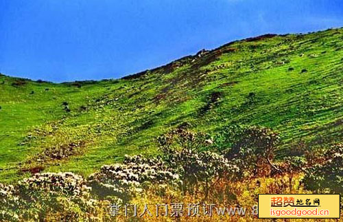江油关附近景点泗洱自然保护区