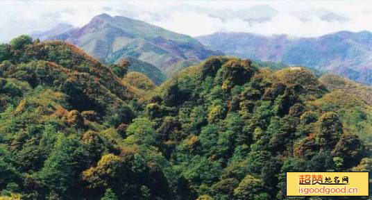 仙鹤坪自然保护区景点照片