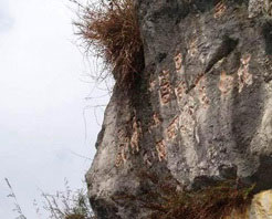 郎宫景区景点照片