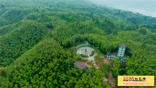 赤水竹海国家森林公园景点照片