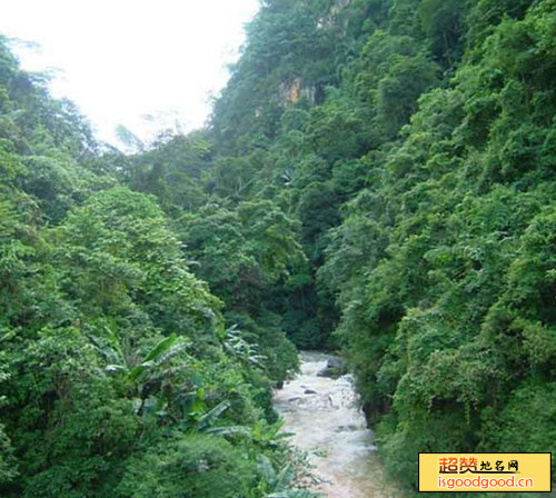 绿水河热带雨林度假区景点照片