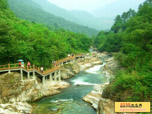 鹦鸽附近景点黄柏塬原生态风景区