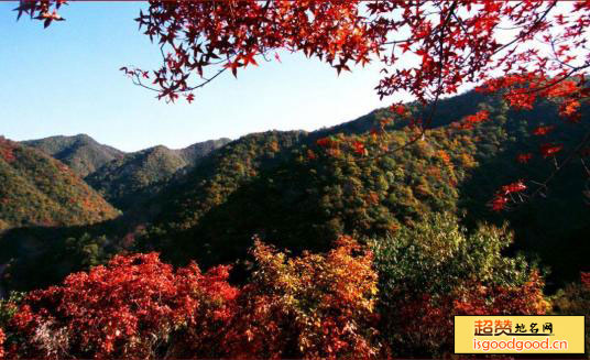 翠峰山景点照片