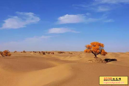 马路滩沙漠生态旅游区景点照片