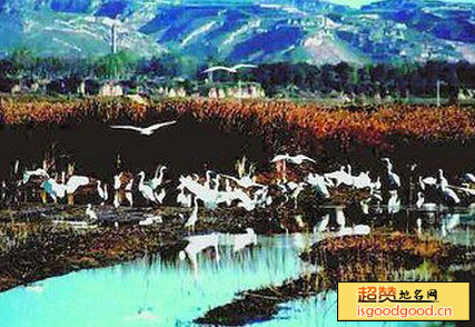 小苏干湖自然保护区景点照片