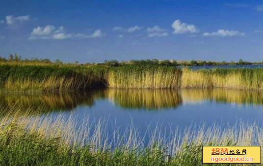 新城草湖国家湿地公园景点照片