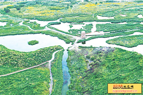 兰州秦王川国家湿地公园景点照片