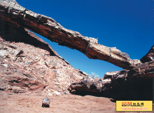 硅化木-恐龙国家地质公园景点照片