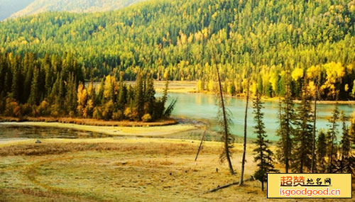 新疆麦盖提唐王湖国家湿地公园景点照片
