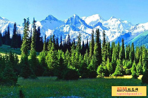 雪岭云杉自然保护区景点照片