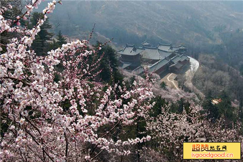 方山国家森林公园景点照片