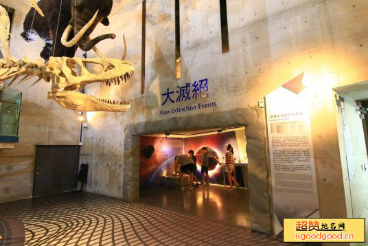 左镇化石博物馆景点照片