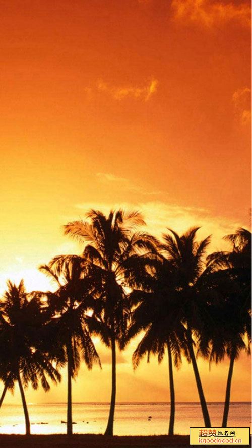 椰子洲岛景点照片