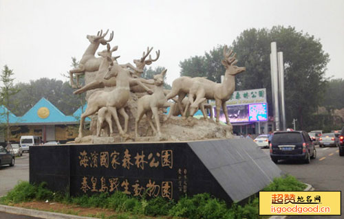秦皇岛野生动物园景点照片