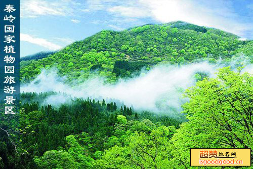 秦岭国家植物园景点照片