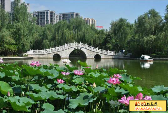 西安丰庆公园景点照片