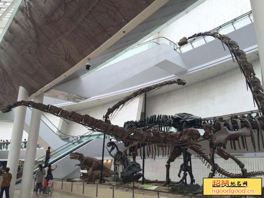 郑州师范学院自然博物馆景点照片