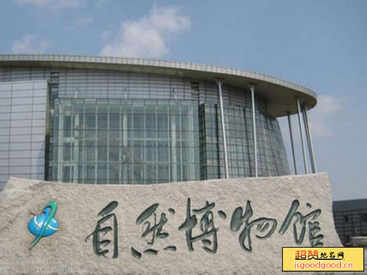 吉林省自然博物馆景点照片