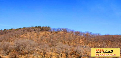 黑龙江呼兰国家森林公园景点照片