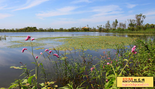哈尔滨金河湾湿地植物园景点照片