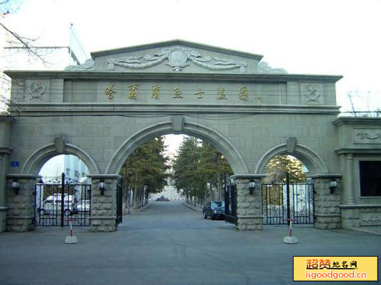 哈尔滨烈士陵园景点照片