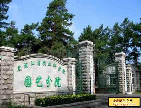 黑龙江省农科院园艺分院景点照片