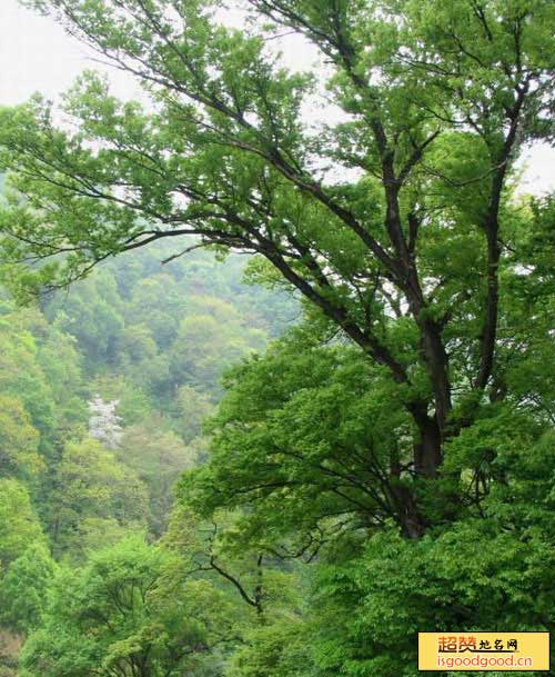 太阳山森林公园景点照片