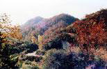 尖山寺森林公园景点照片