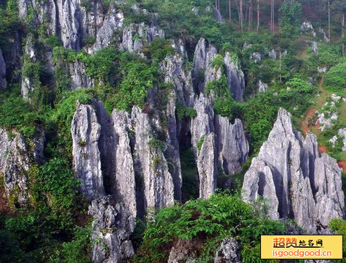 大坝场附近景点思南石林