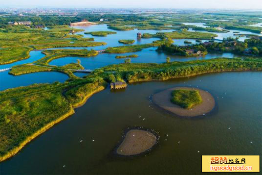 杭州湾国家湿地公园景点照片