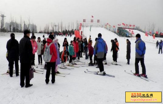 亚布洛尼朝阳公园滑雪场景点照片