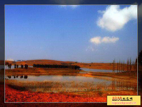 红枫湖景点照片
