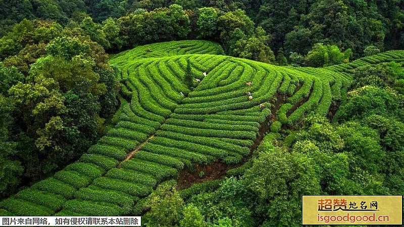 名山区蒙顶山蒙顶山