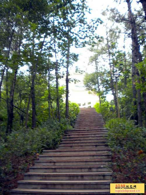 梅花山森林公园景点照片