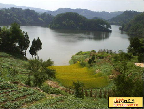 青羊湖景点照片