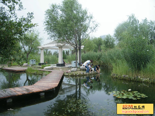 郑东新区湿地公园景点照片