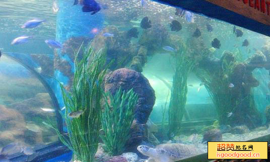 王城公园海底世界景点照片