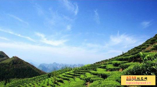 茶山旅游区景点照片