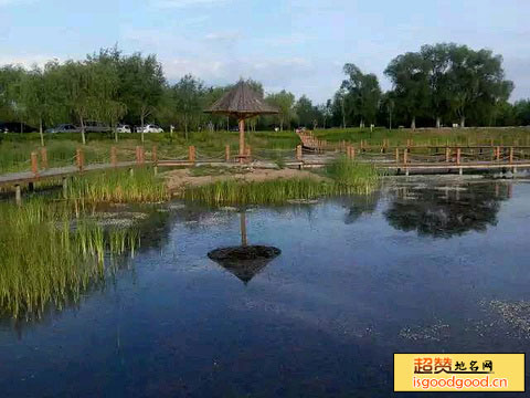 聊城南湖湿地公园景点照片