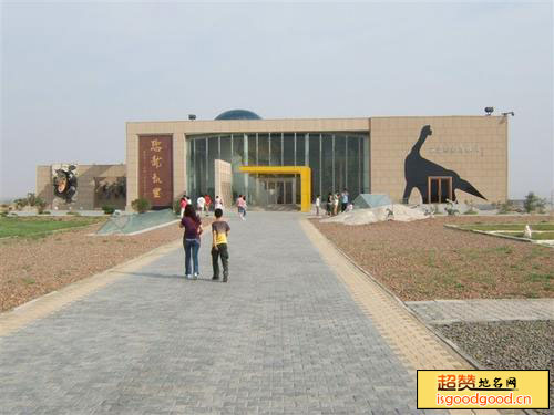二连浩特恐龙博物馆景点照片