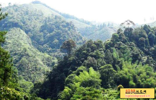 均峰山自然保护区景点照片