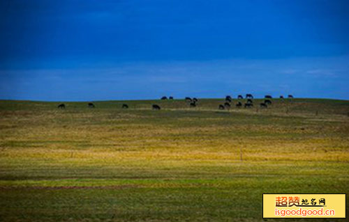 乌拉特草原景点照片