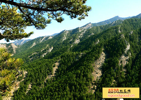 内蒙古贺兰山国家级自然保护区景点照片