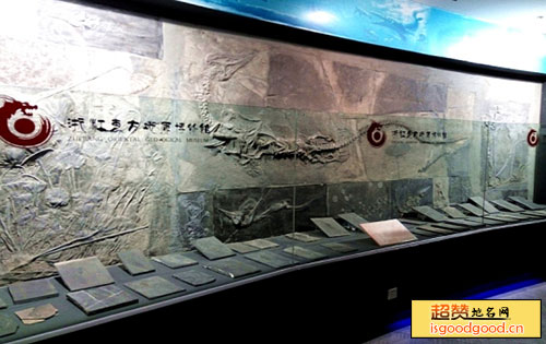 浙江东方地质博物馆景点照片