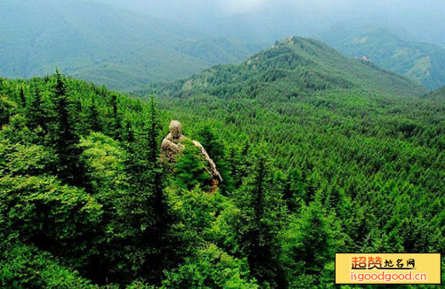 五寨县管涔山国家森林公园管涔山国家森林公园