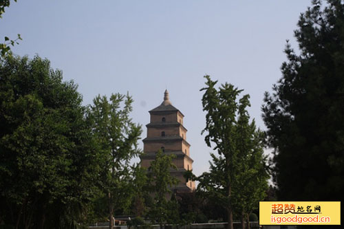 长安圣寿寺塔景点照片
