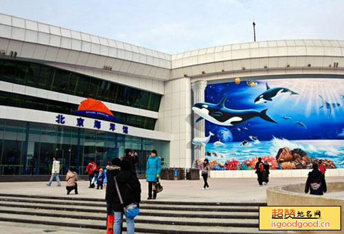 北京海洋馆景点照片
