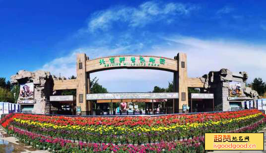 北京野生动物园景点照片