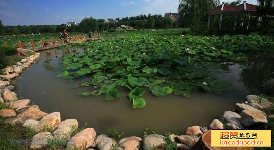 天津津南农业科技园景点照片
